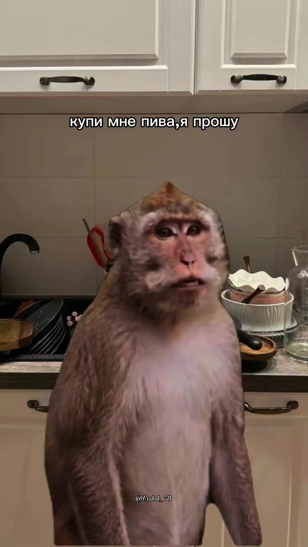 @𝑳𝒚𝒅𝒎𝒊𝒍𝒌𝒂シ︎