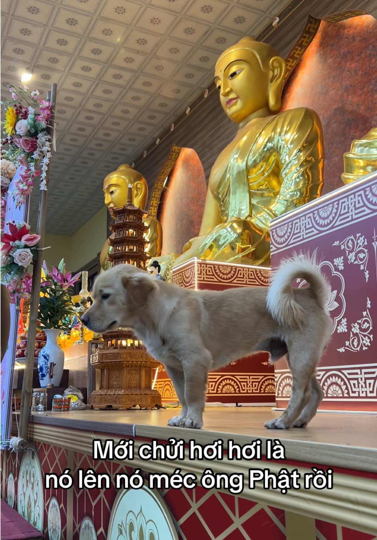 @Kh&aacute;nh h&iacute; qu&ecirc; Bạc Li&ecirc;u