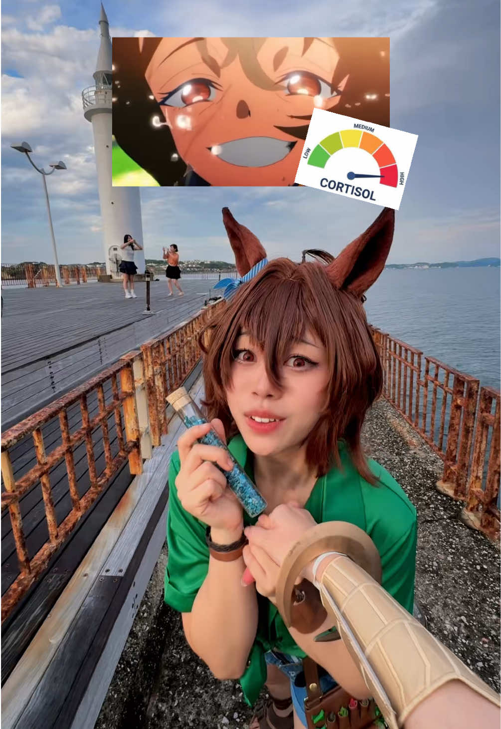 @Kitsuhicos