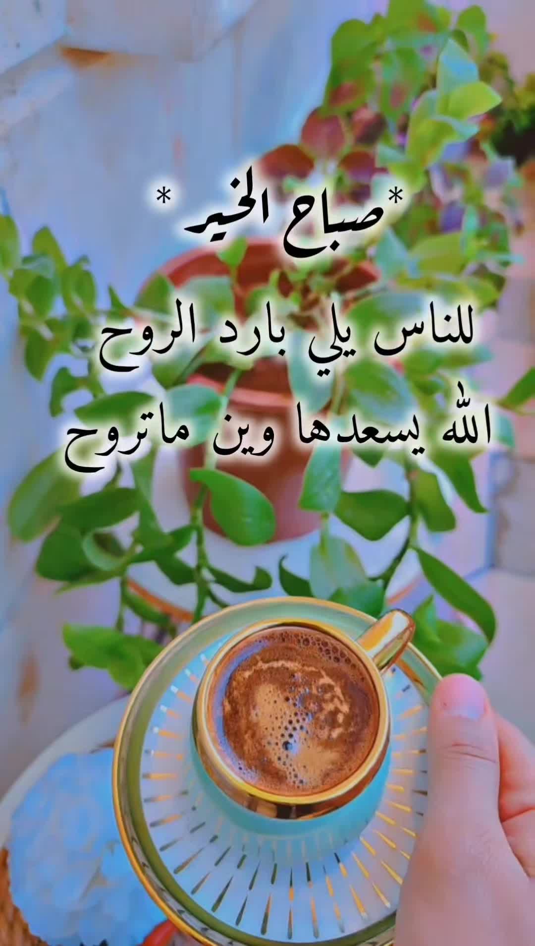 @عبير الورد🍃❤️