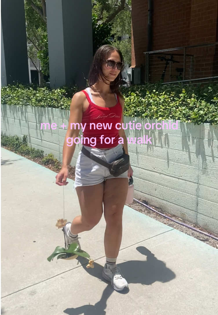 @missmoody