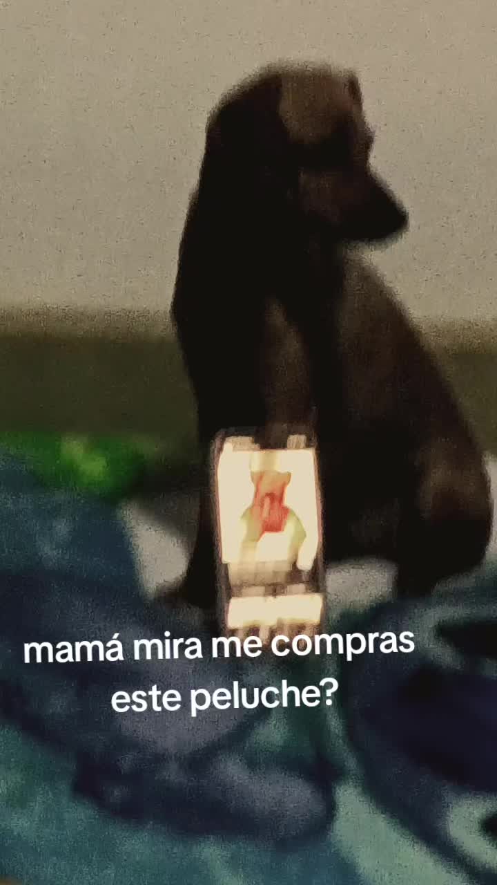 @jael