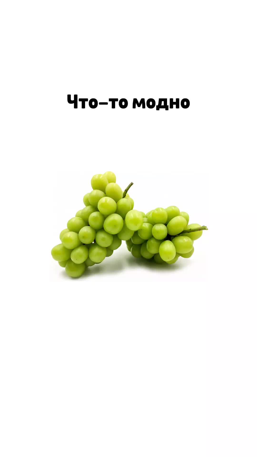 @gorod_lg