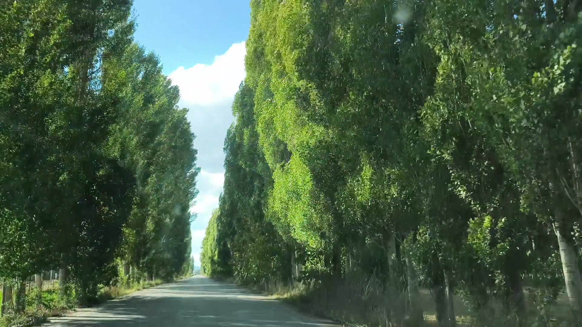 @H&uuml;seyin &Ouml;zaslan