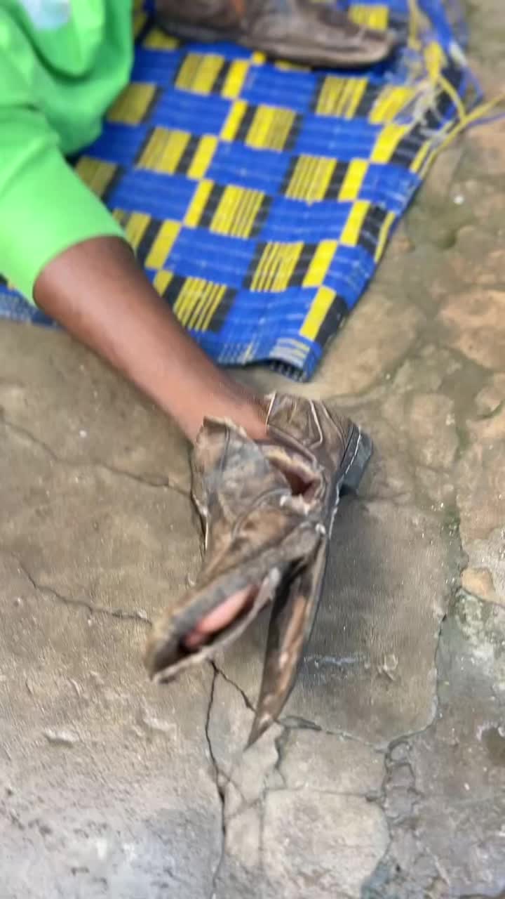 @kawcomedy1🇬🇲🇸🇳🇬🇳