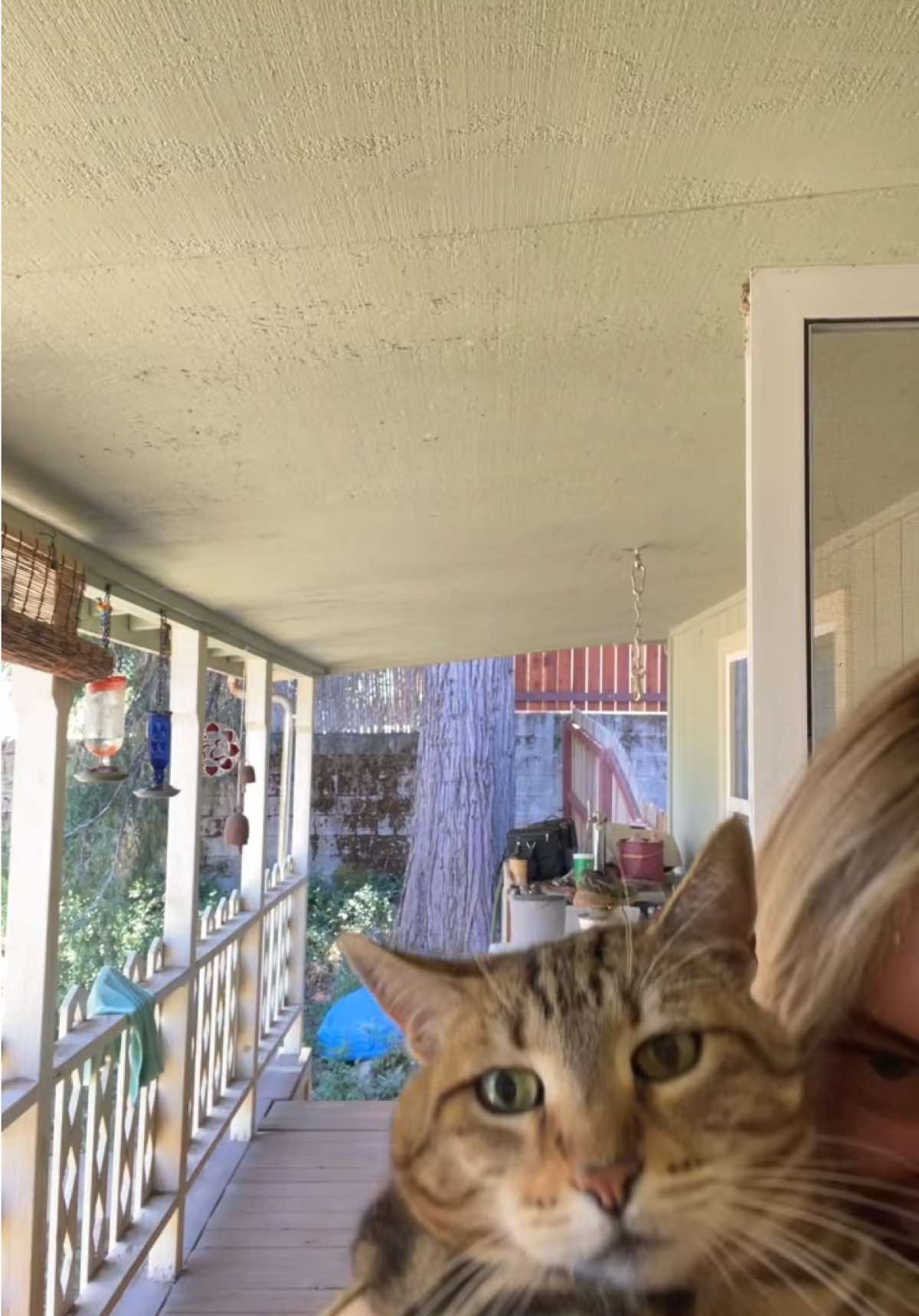 @chocolatemilkmousedeer16