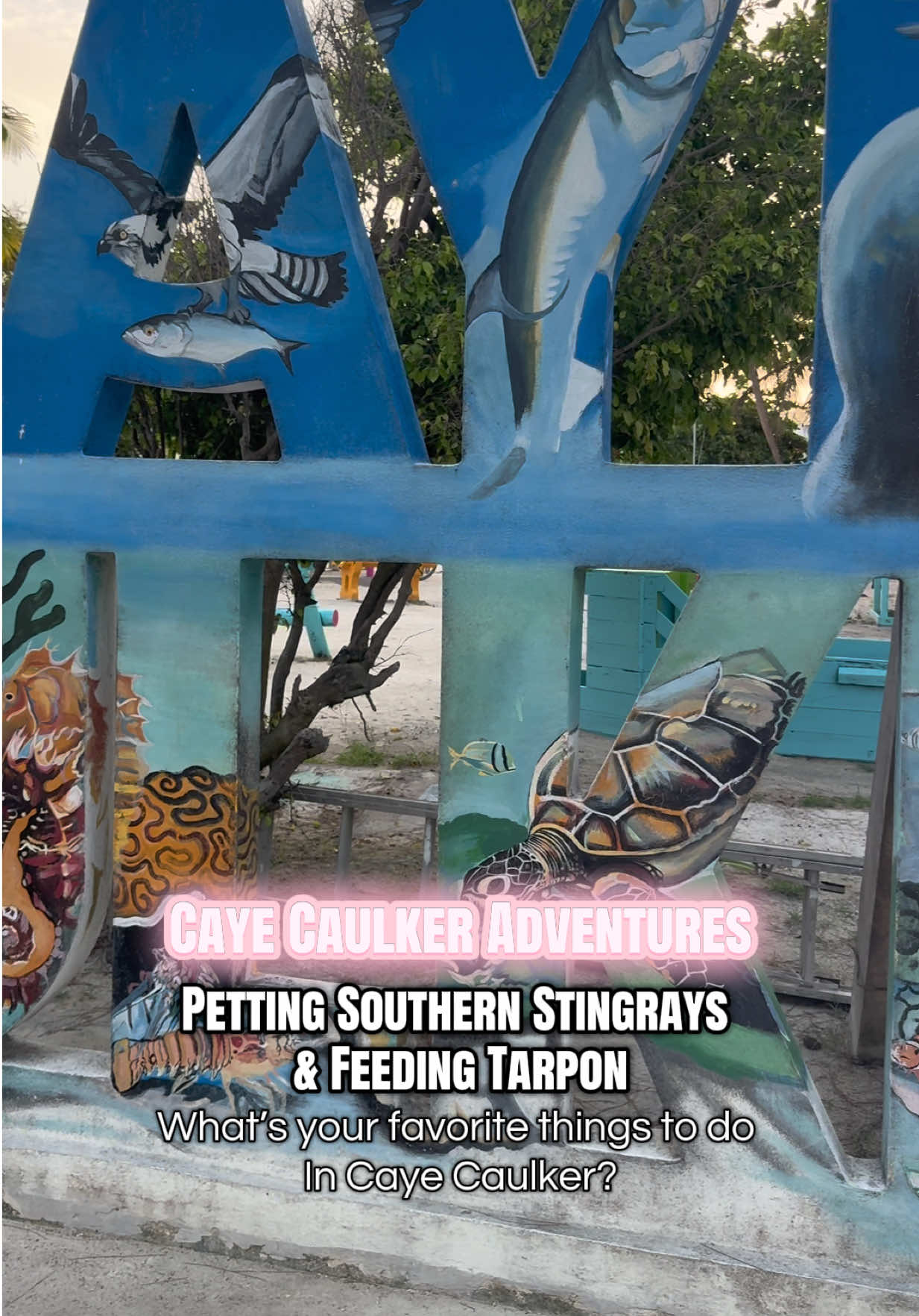 @Tour Guide of Belize🇧🇿||UGC