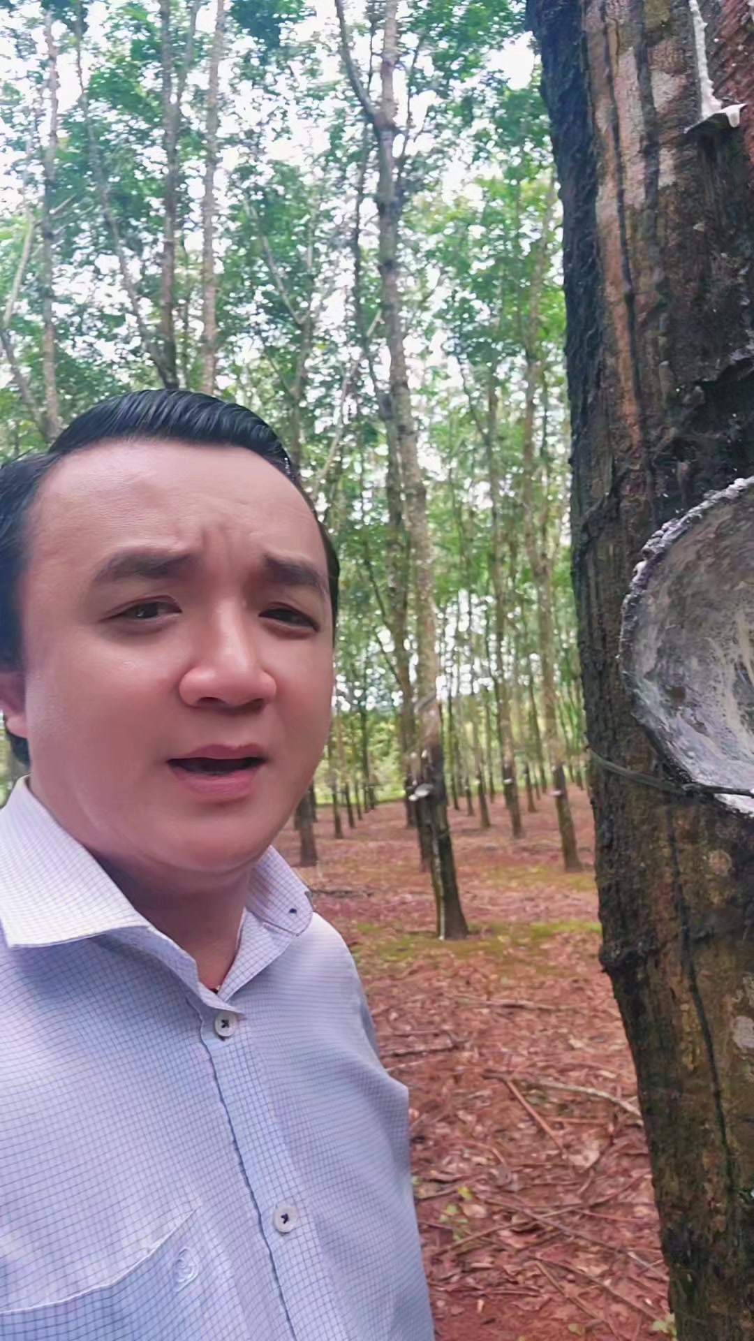 @Nguyễn Quốc Thệ
