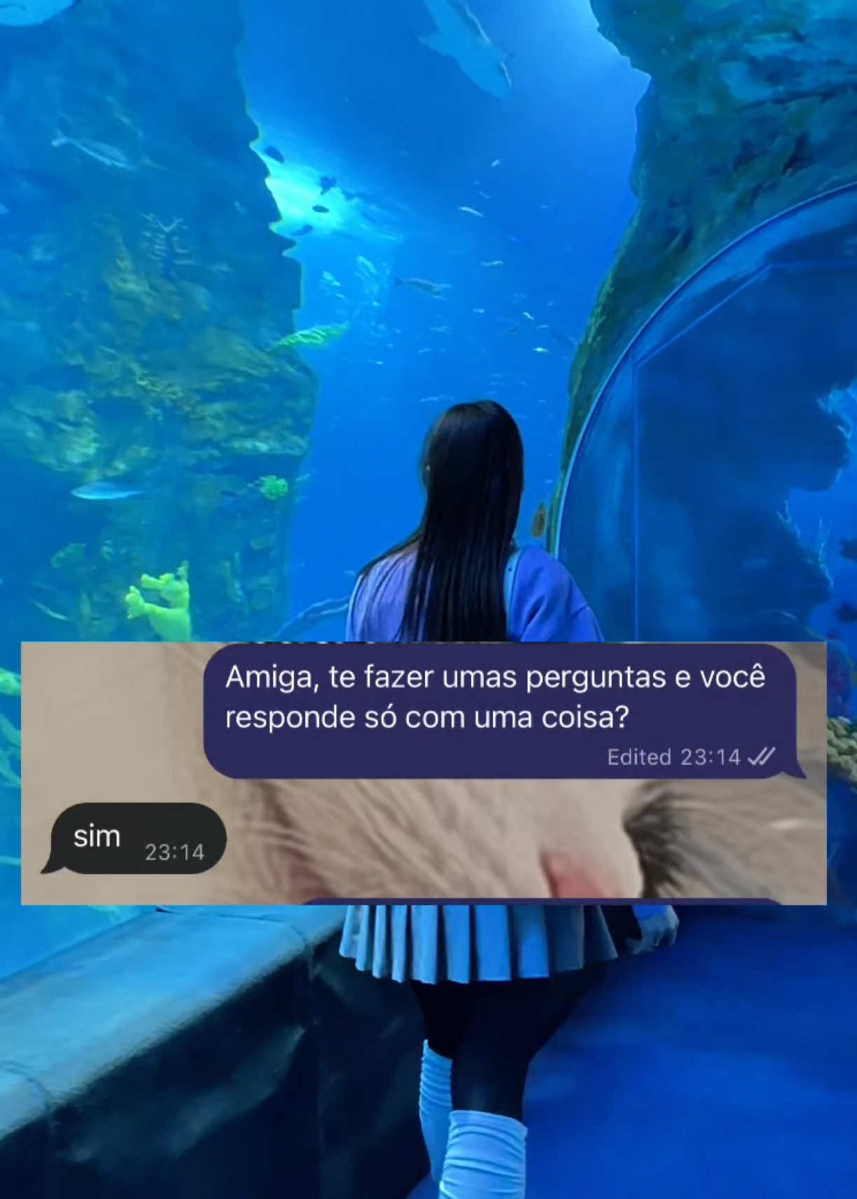 @✨ Lisa 🇧🇷🇰🇷