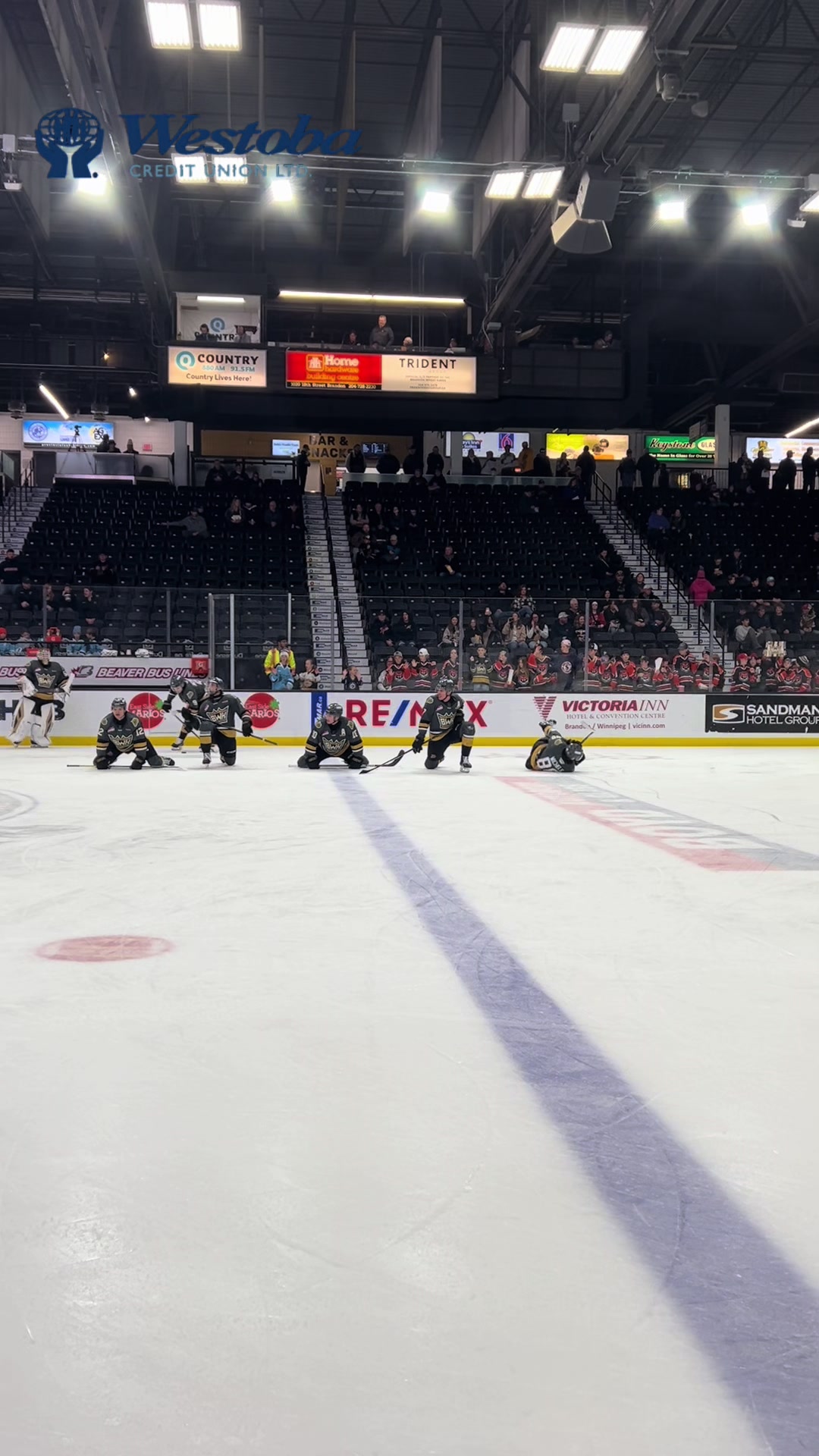 @Brandon Wheat Kings