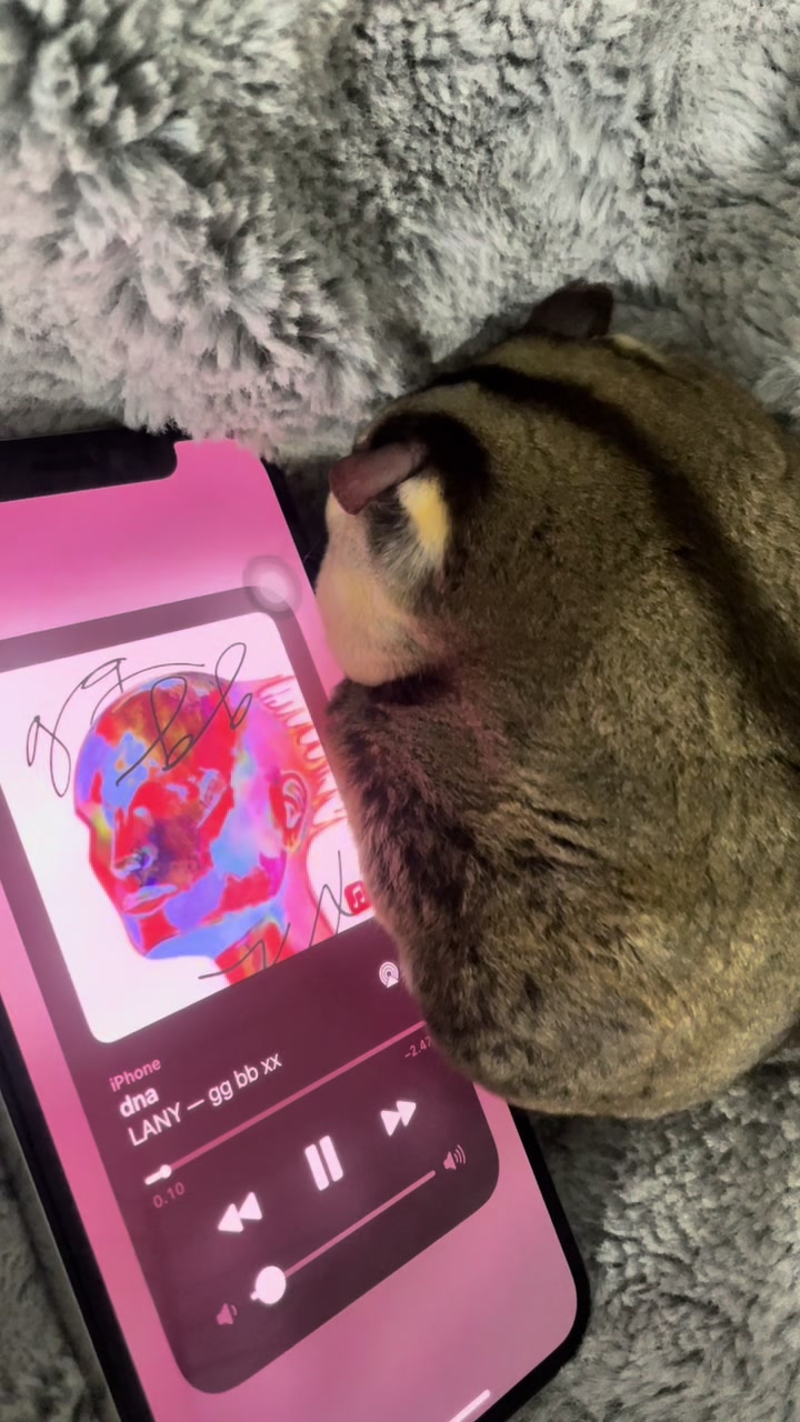 @Sadglider