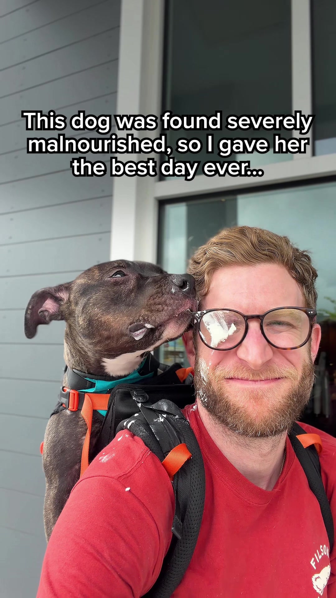@madmax_fluffyroad