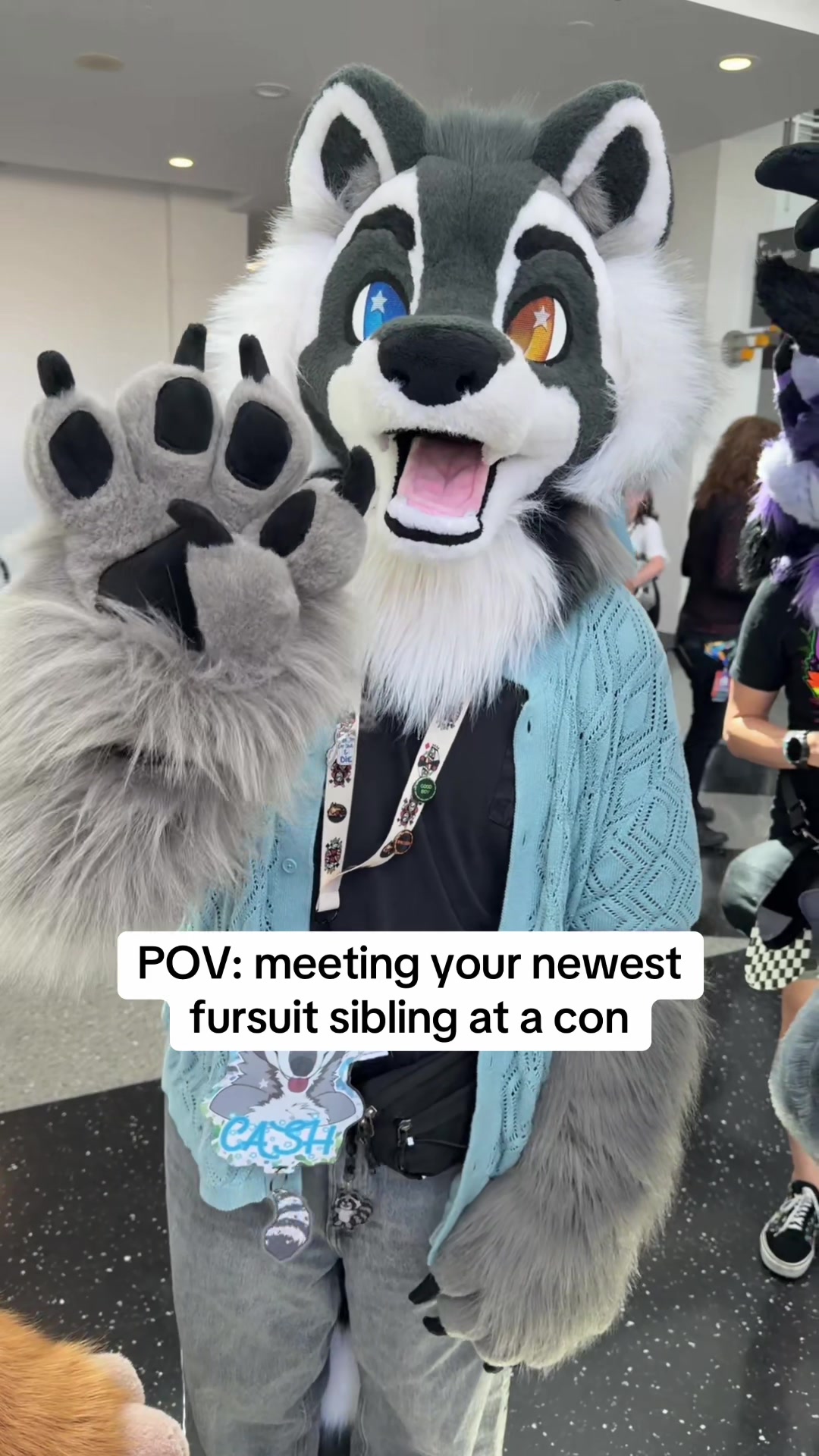@Boof