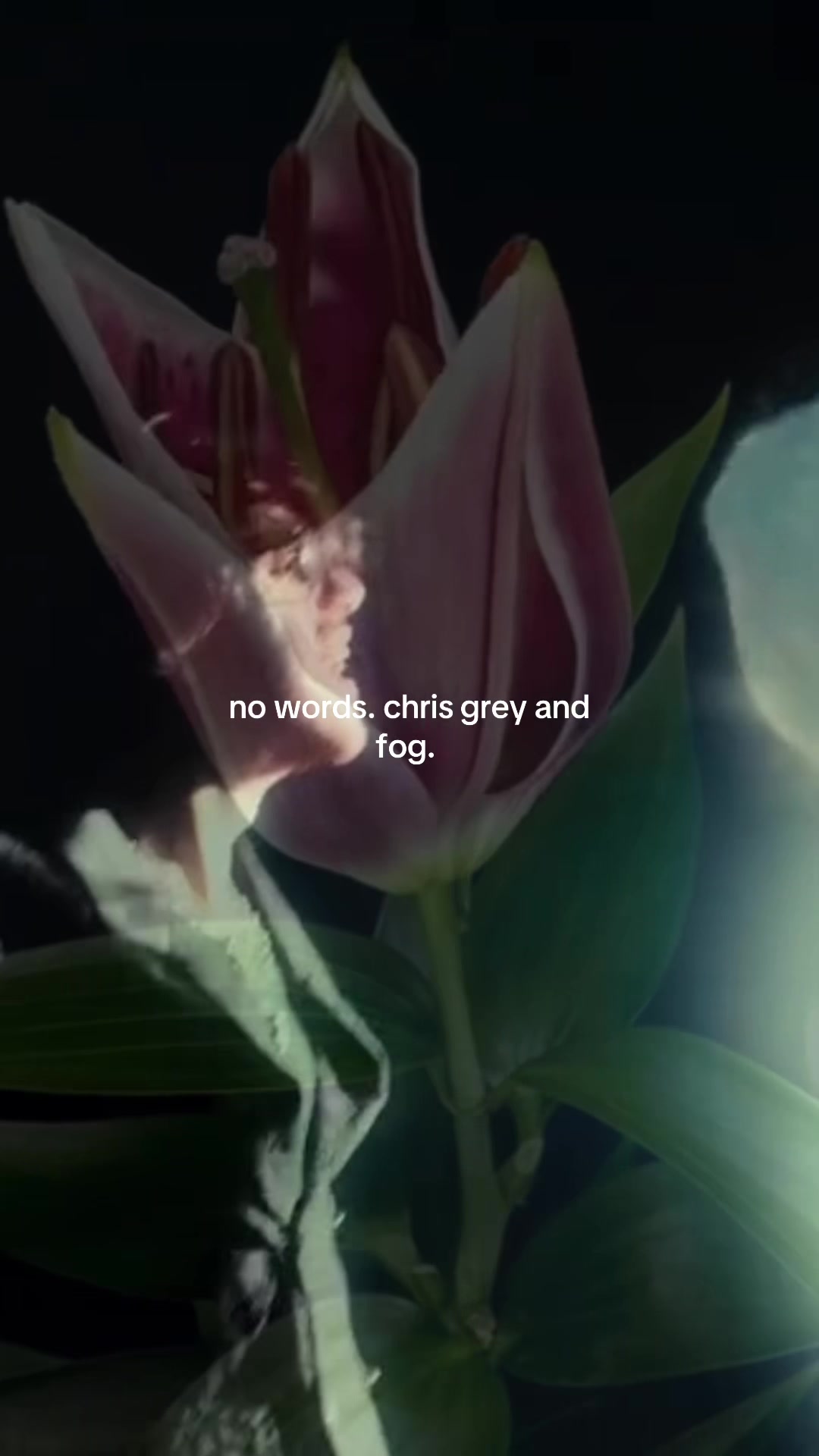 @chrisgreysvault
