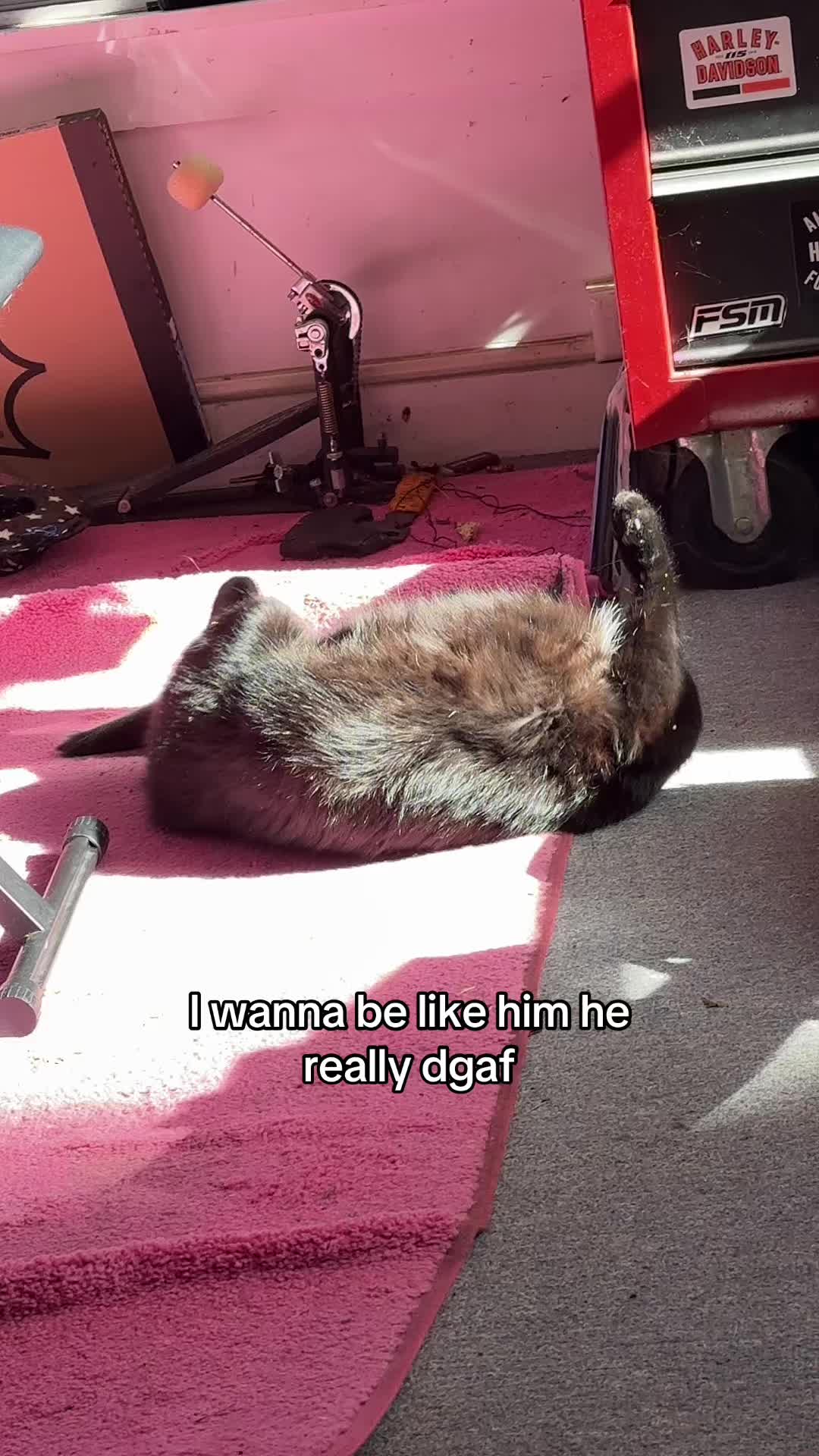 @kira