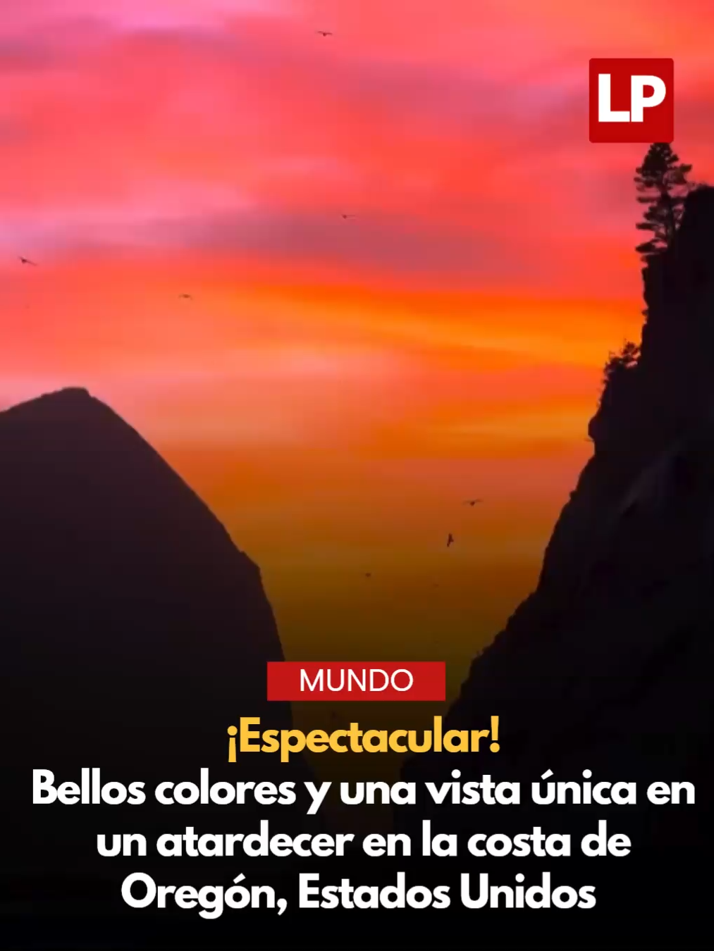 @diariolaprensa