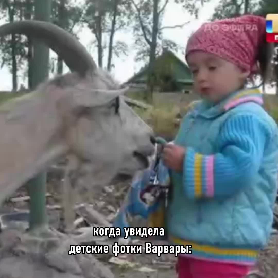 @святоша🪽#дракошка