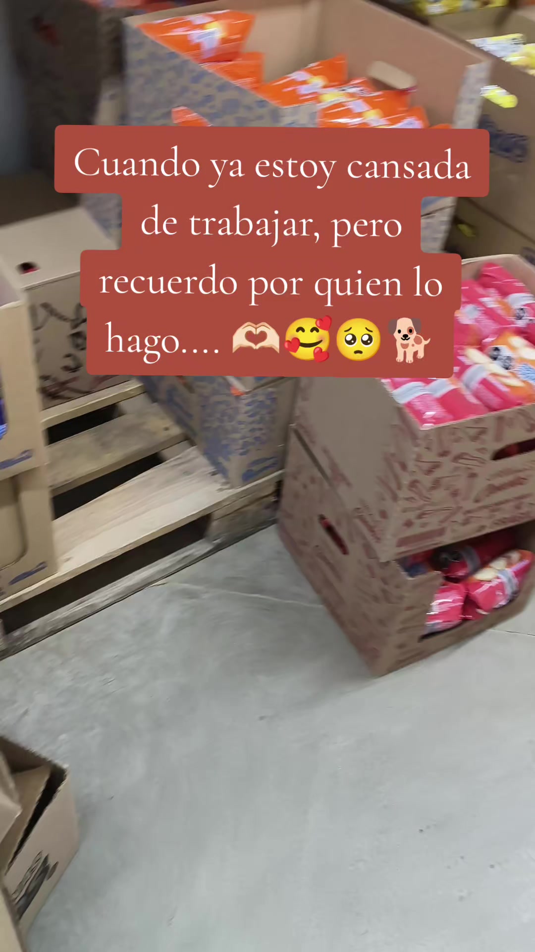 @Ivette Montaño