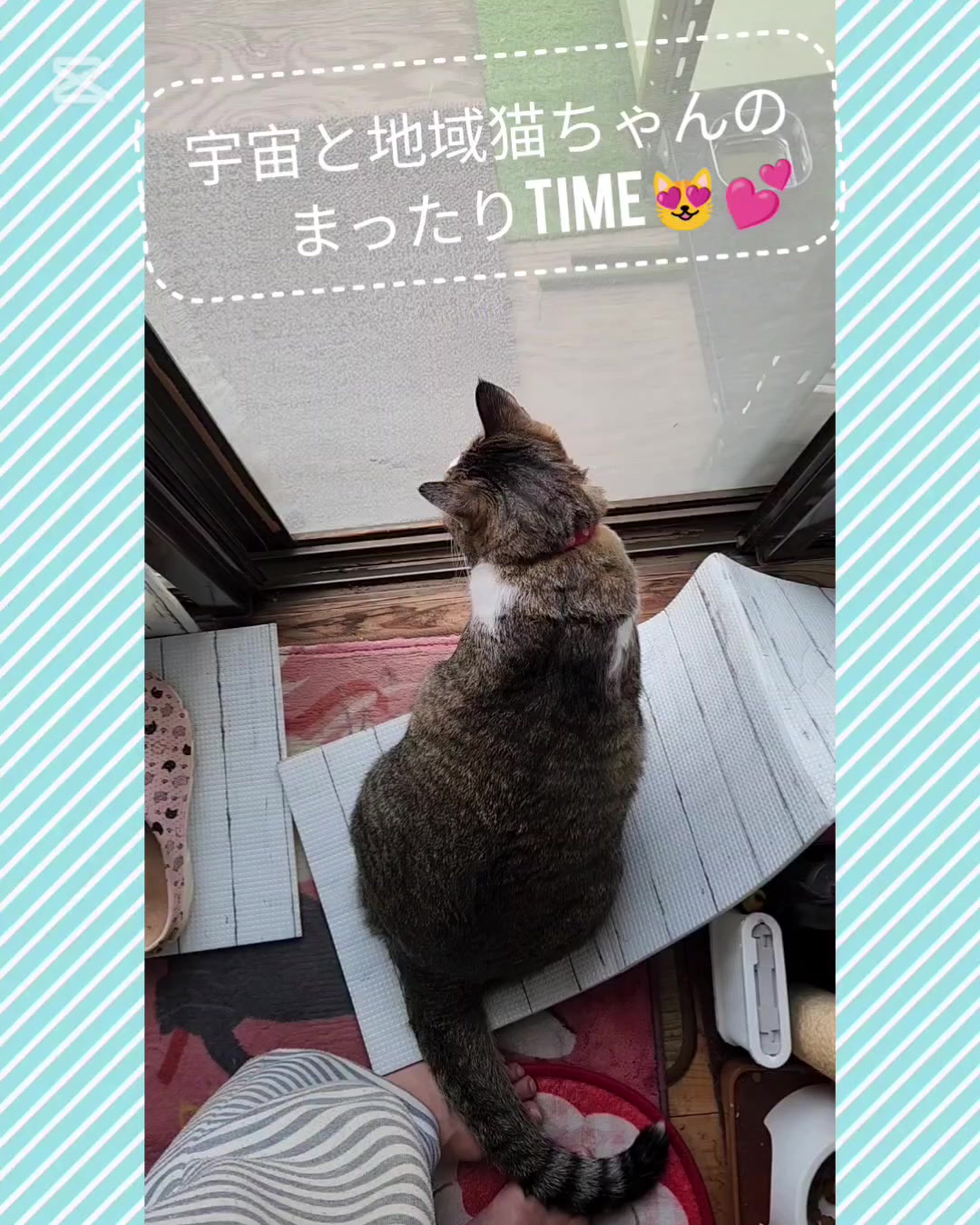 @momo
