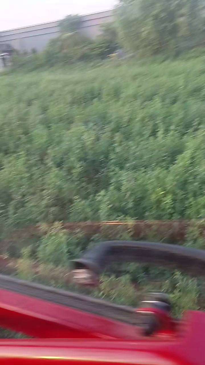@Rašo