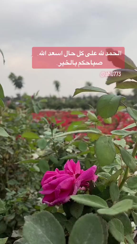 @خواطر عيوش✍🏼