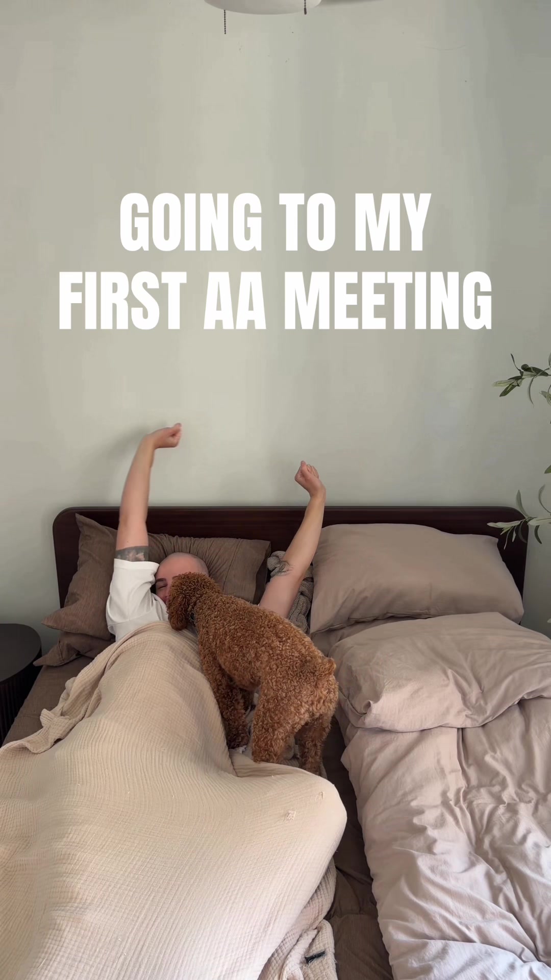 @Digital Baylie