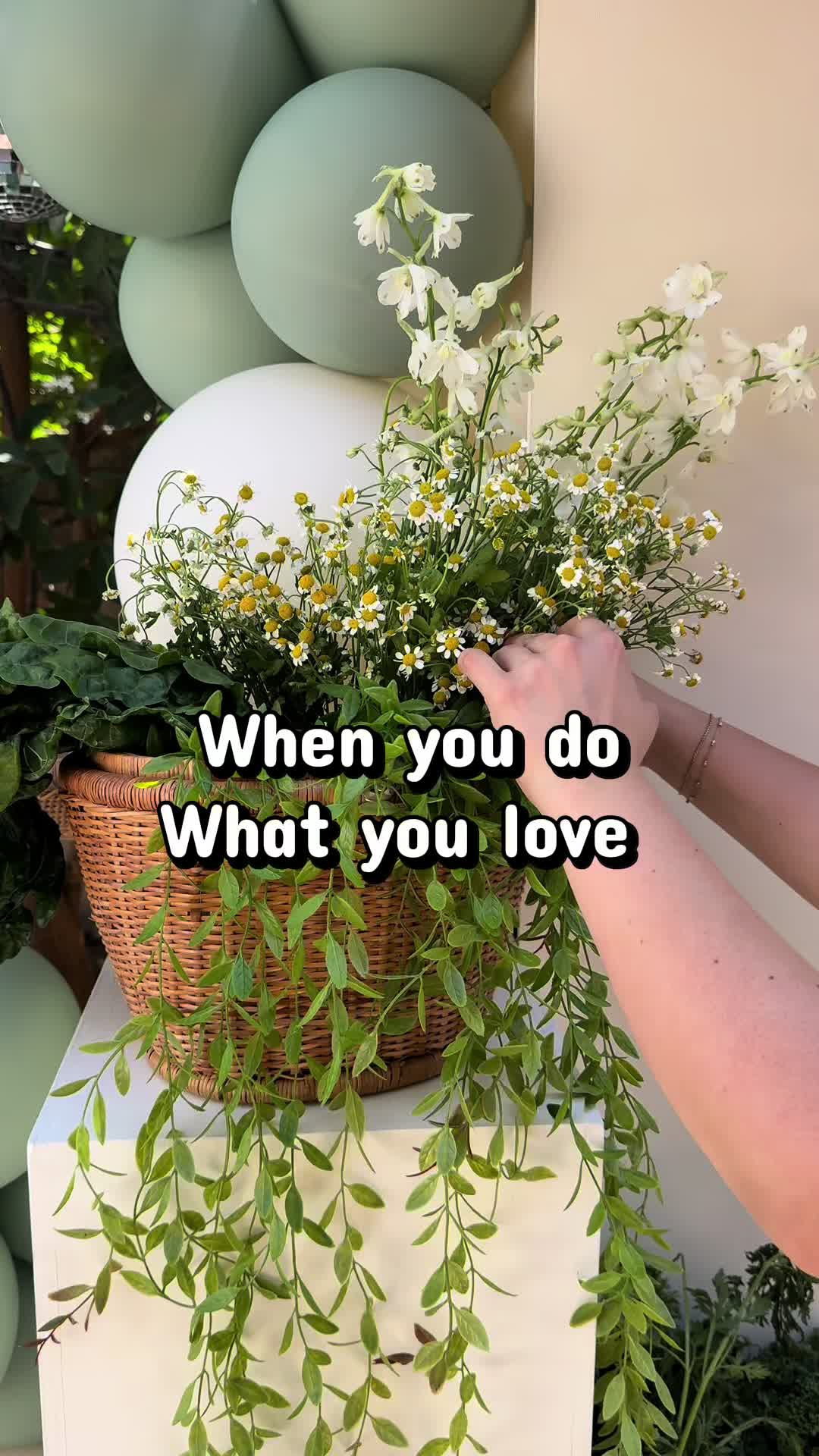 @Jasmin Torres