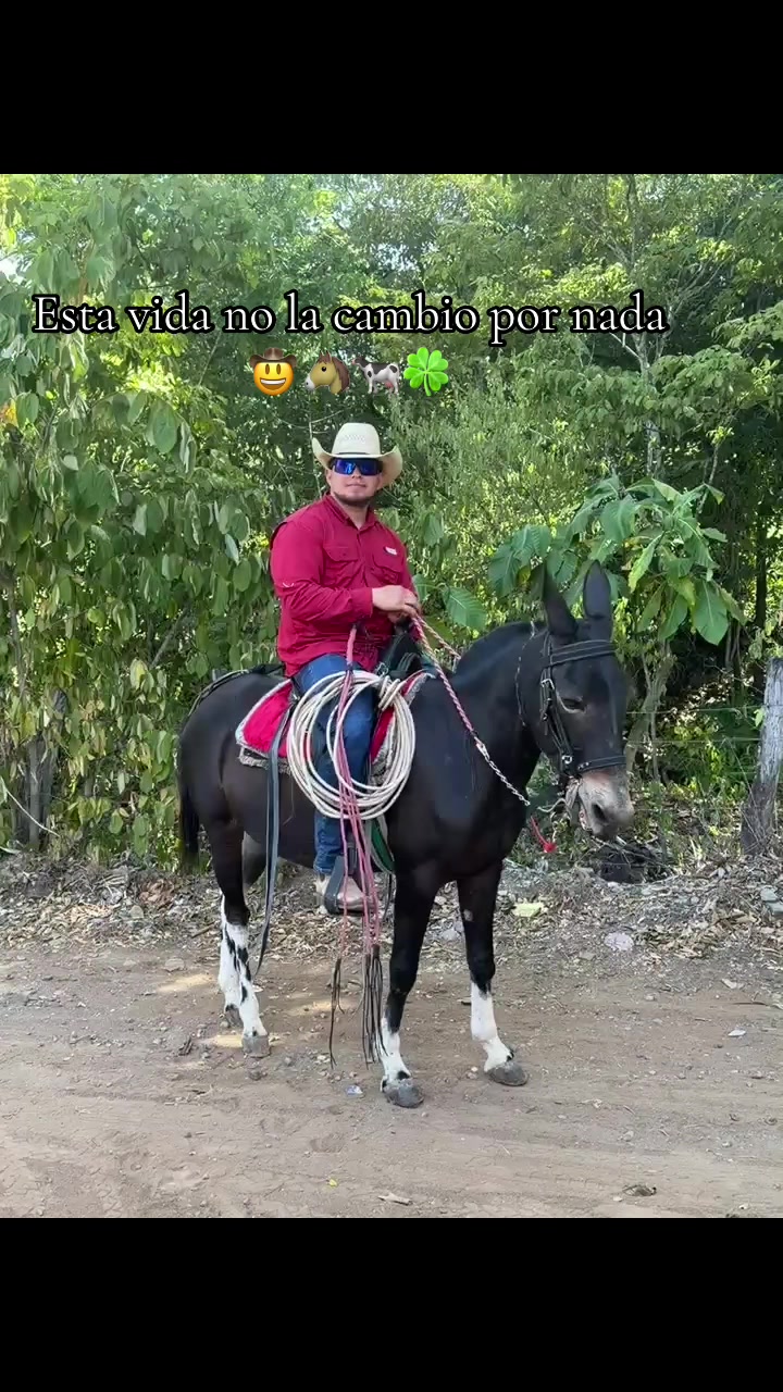 @Rony Zavala