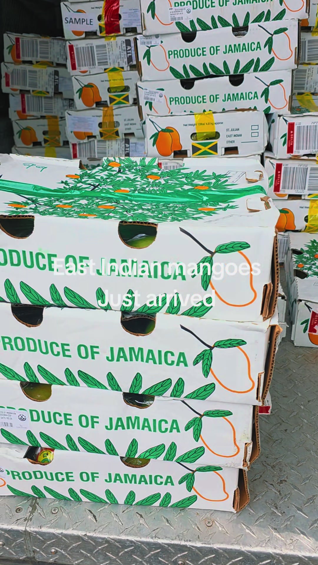 @Roti Paradise & Mohabir Fruits