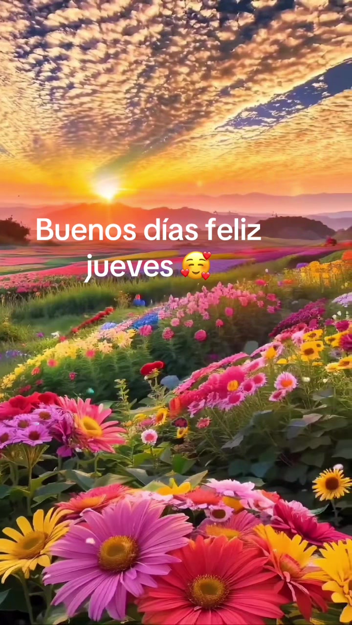 @JC &hearts;️Tu Consentido