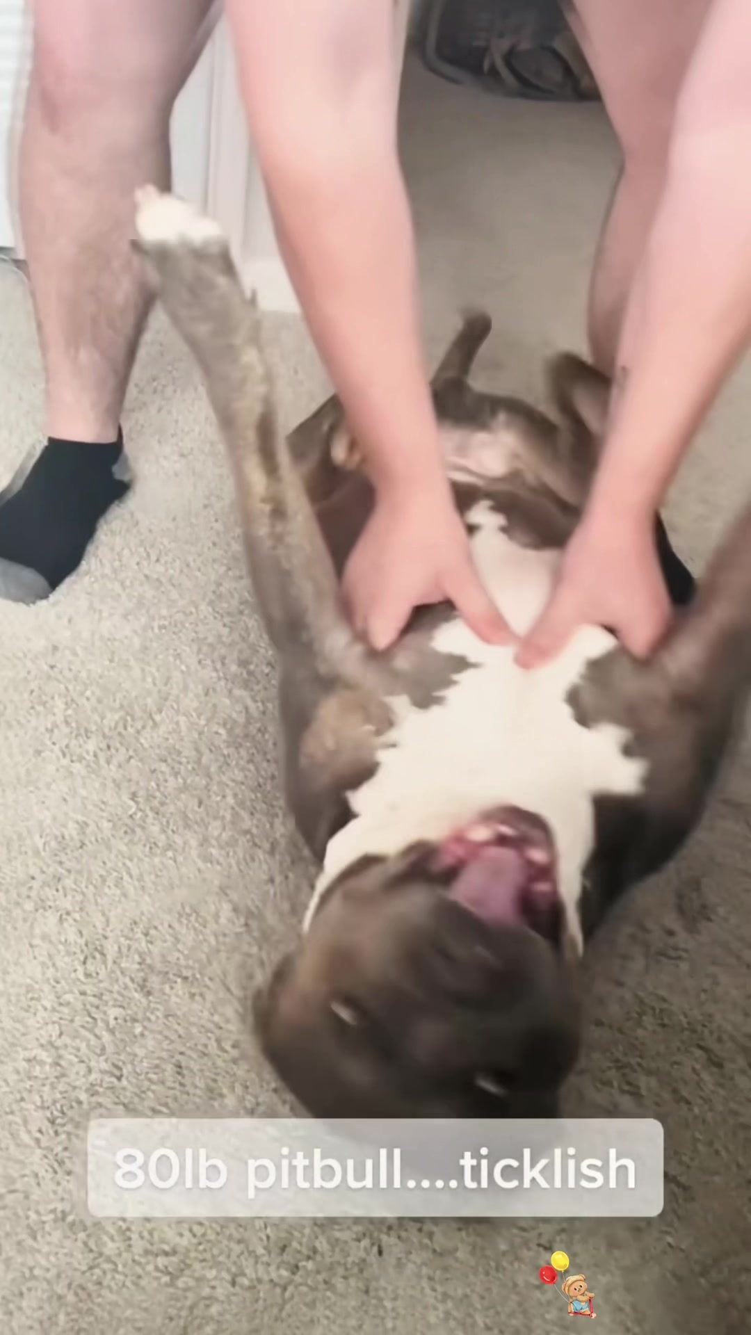 @SneakyFails