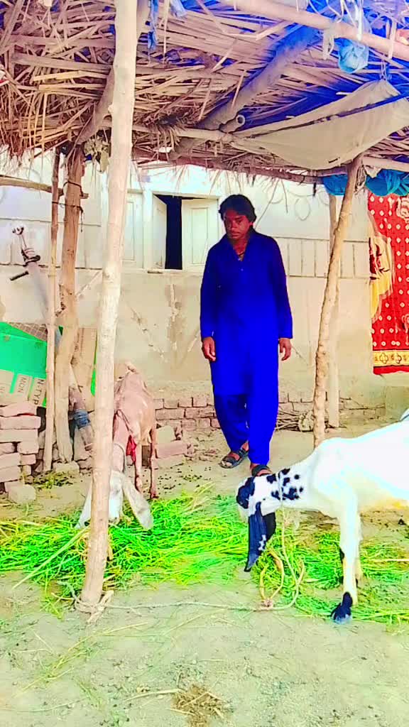 @Ghayal 🧡Jaan