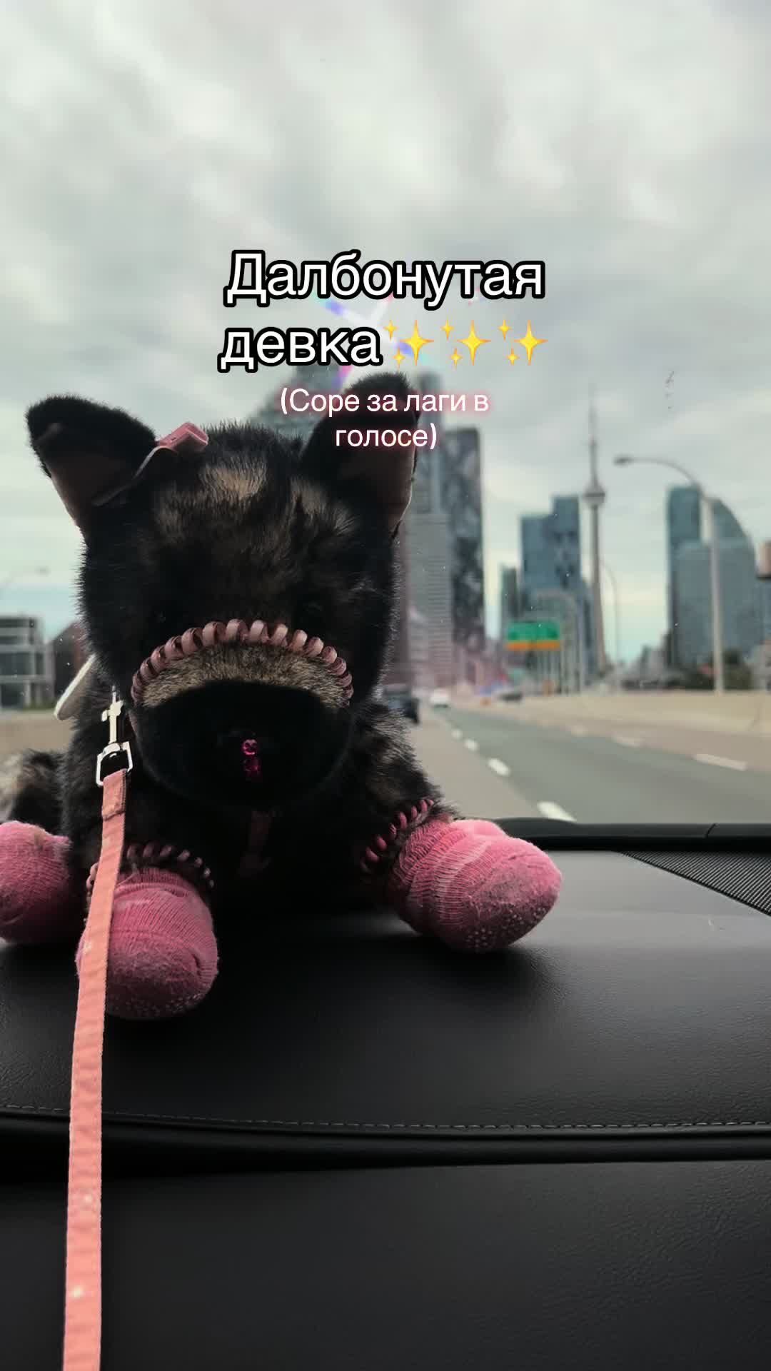 @🪐»𝔘𝔖𝔬𝔪𝔢𝔩_ESAS!⛓(Пдб)«👻