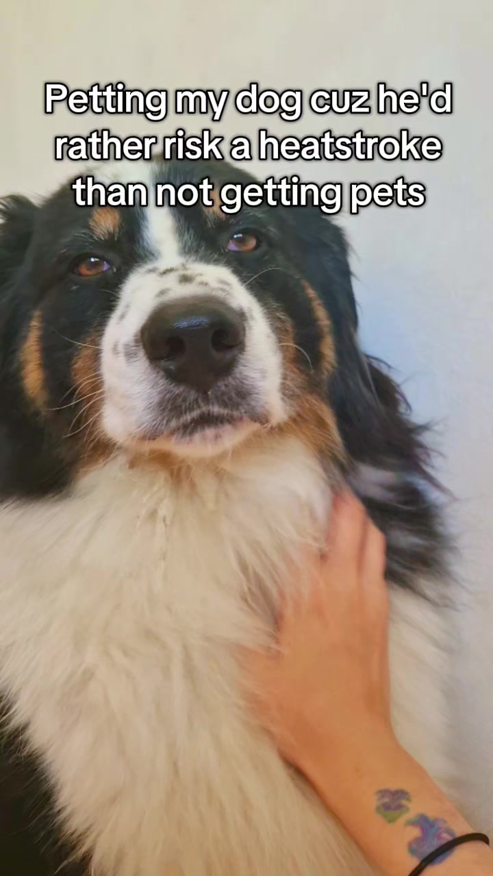 @Lofi the Aussie