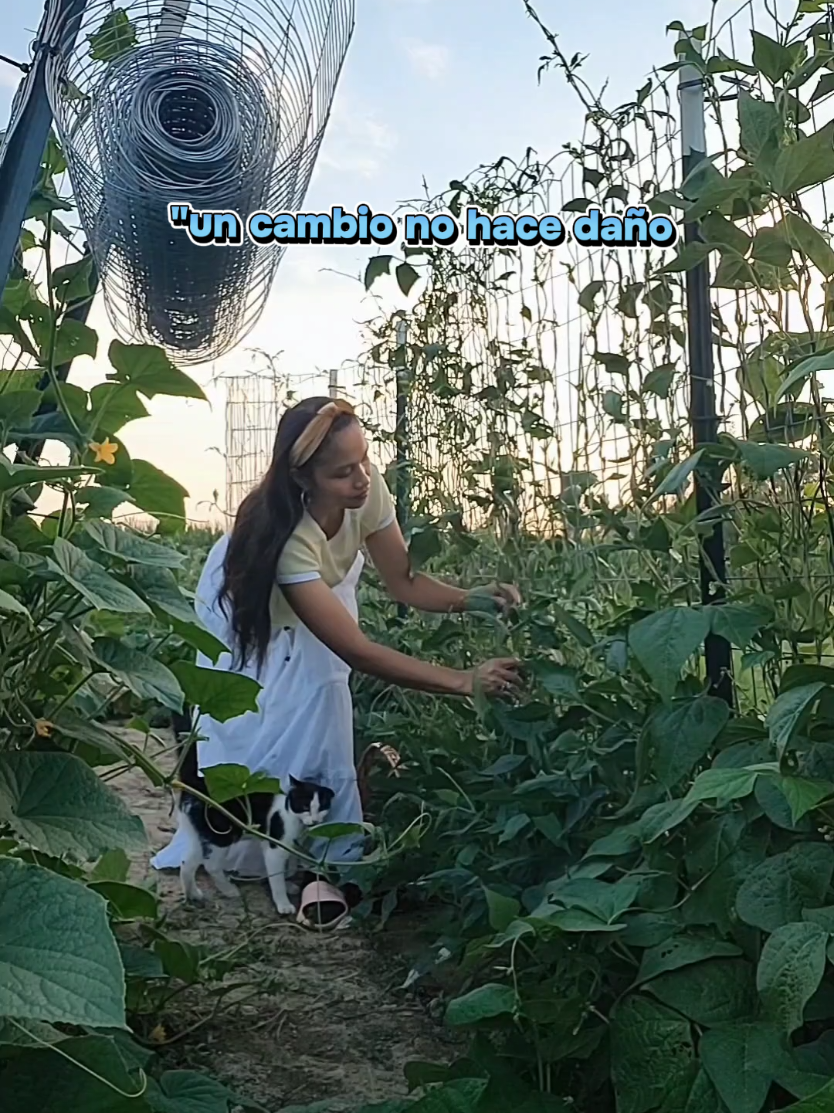 @🔥JCVibes143✨️