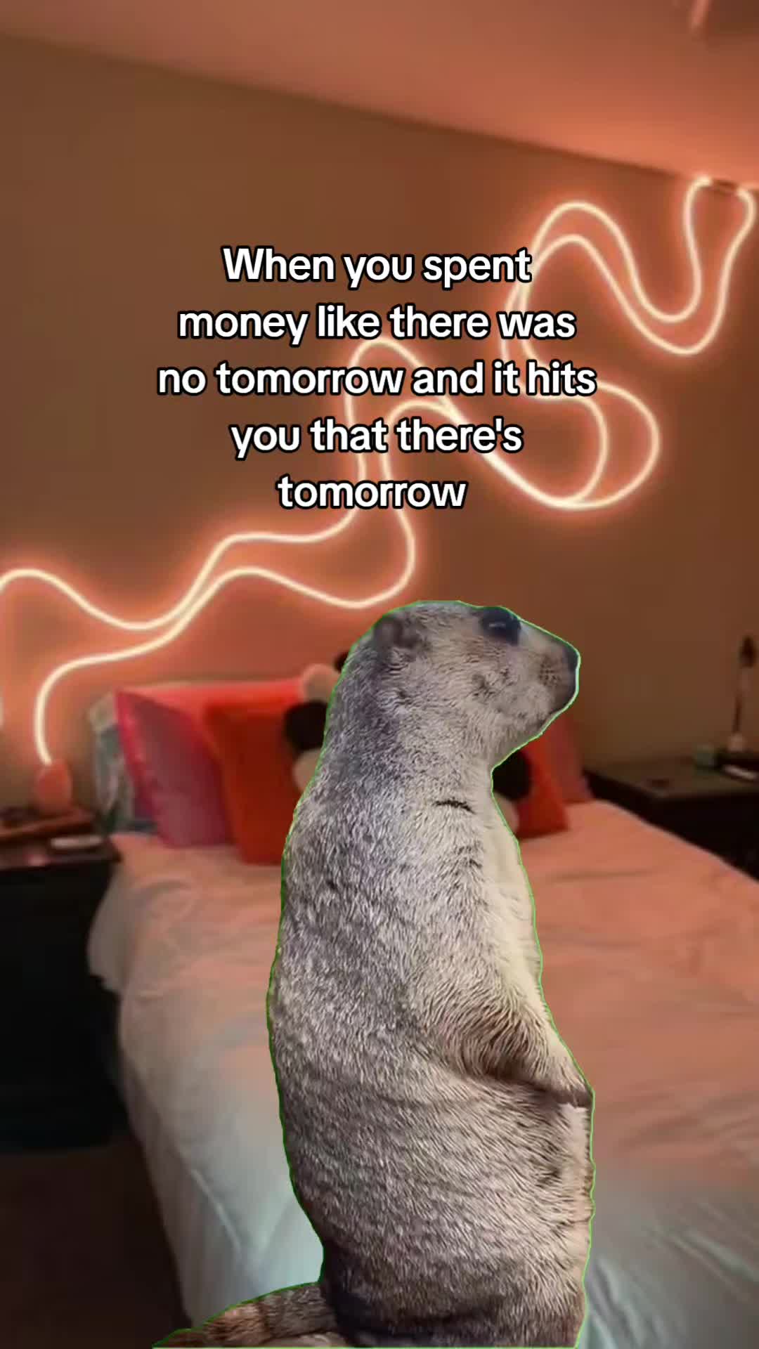@Julie 👑