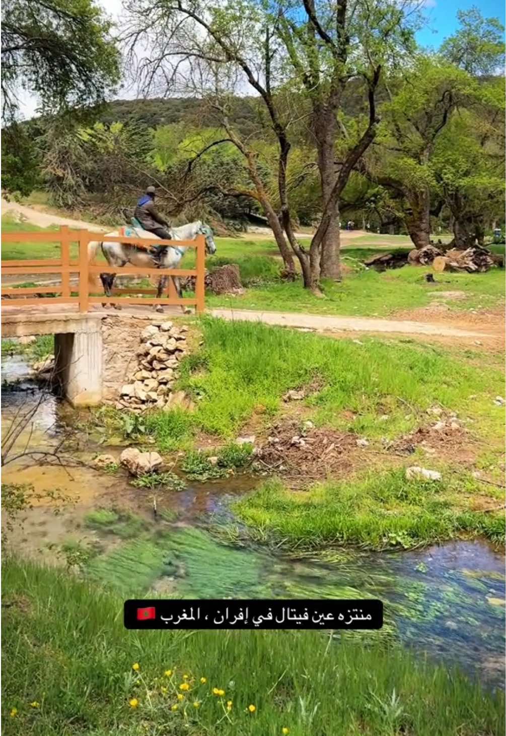 @محمد
