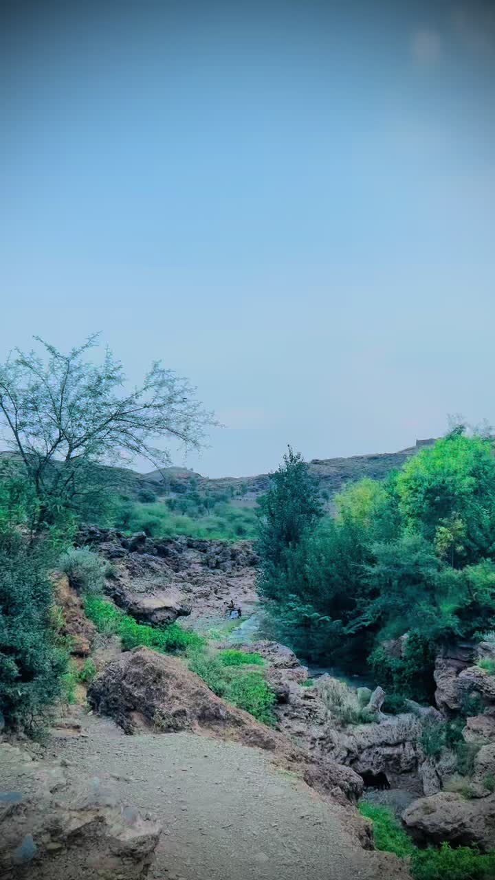 @꧁𓊈𒆜𝙉𝙖𝙟𝙚𝙚𝙗𒆜𓊉꧂