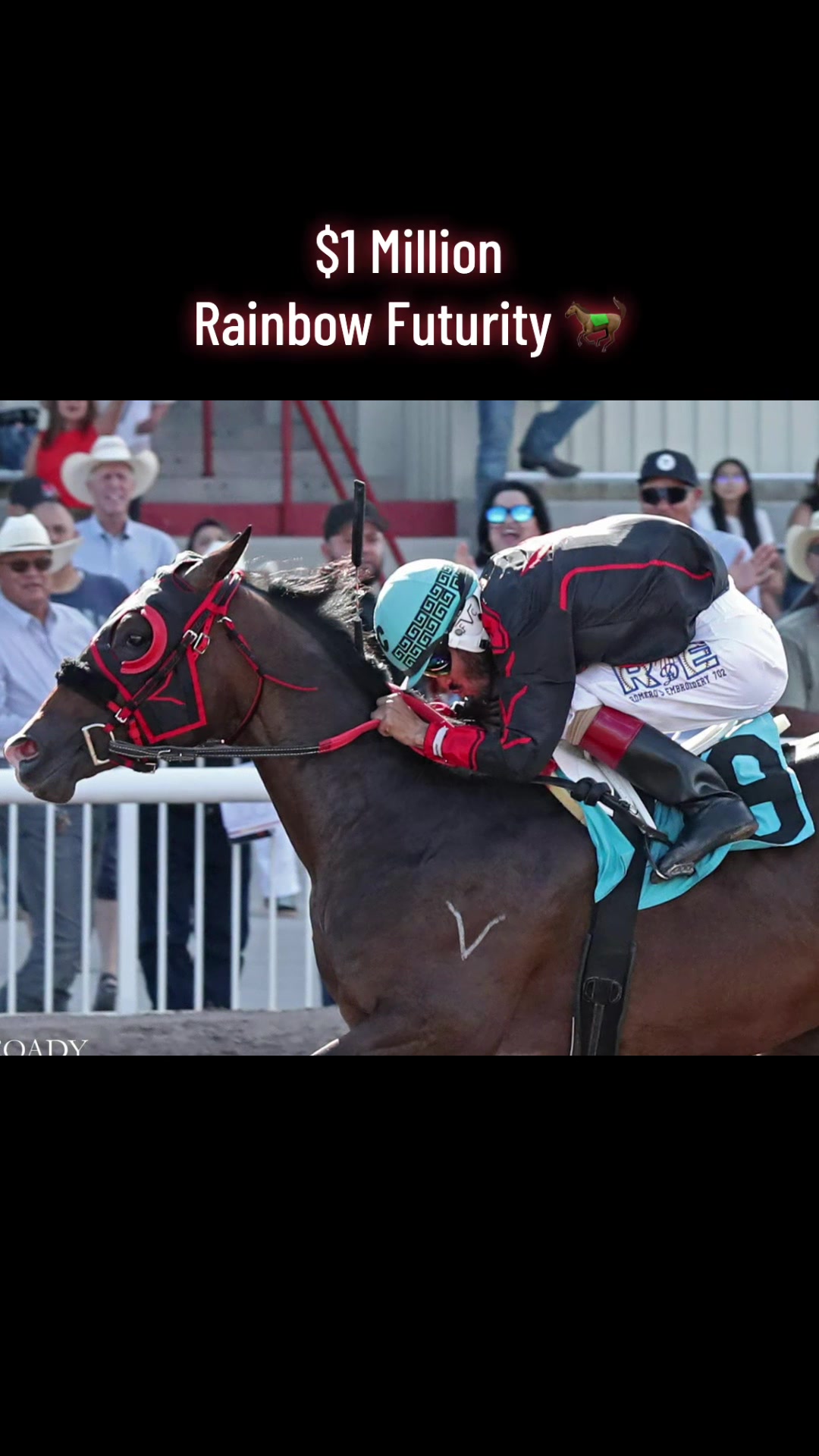 @rubyponce🐎💙
