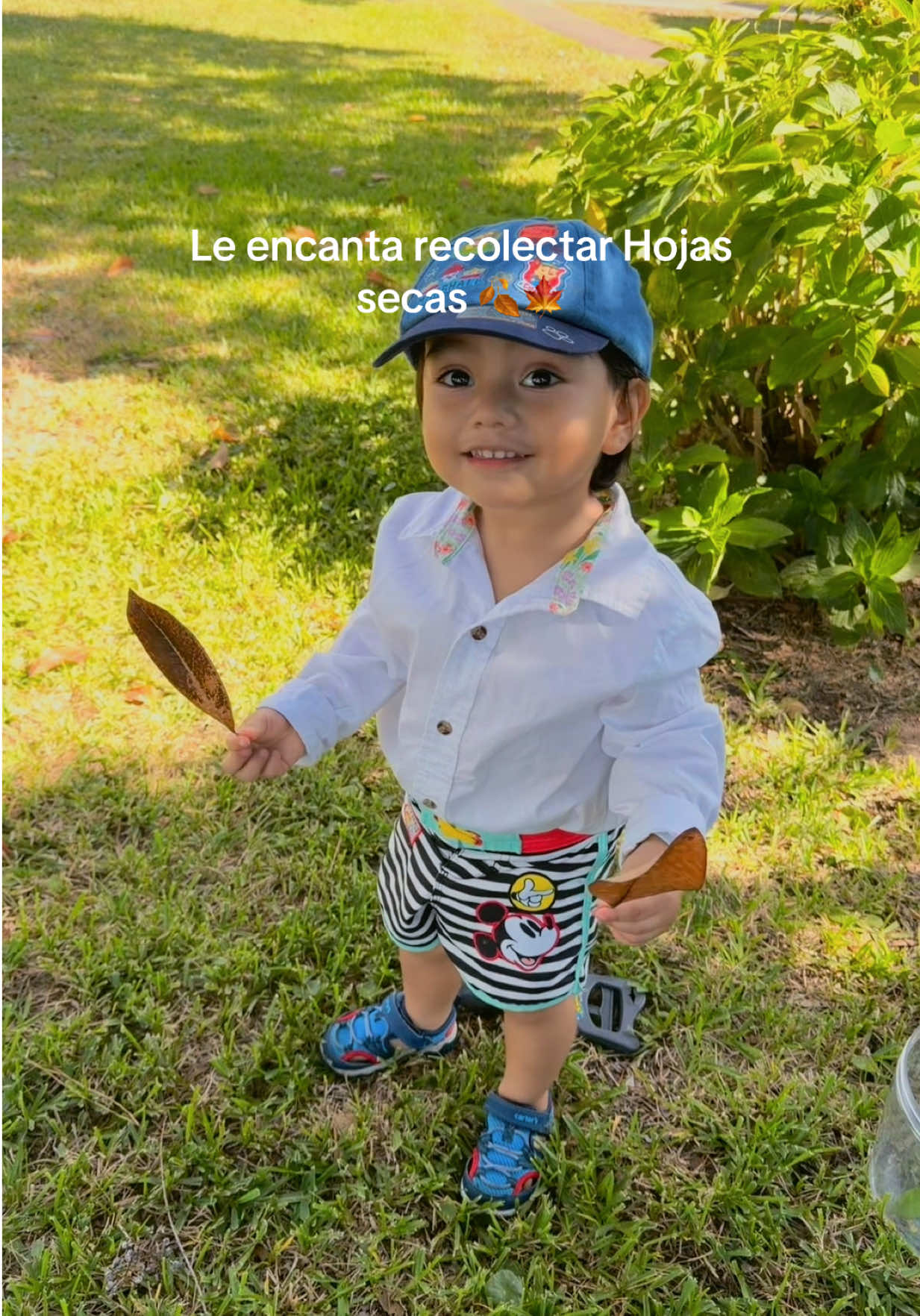 @Dhori_arco
