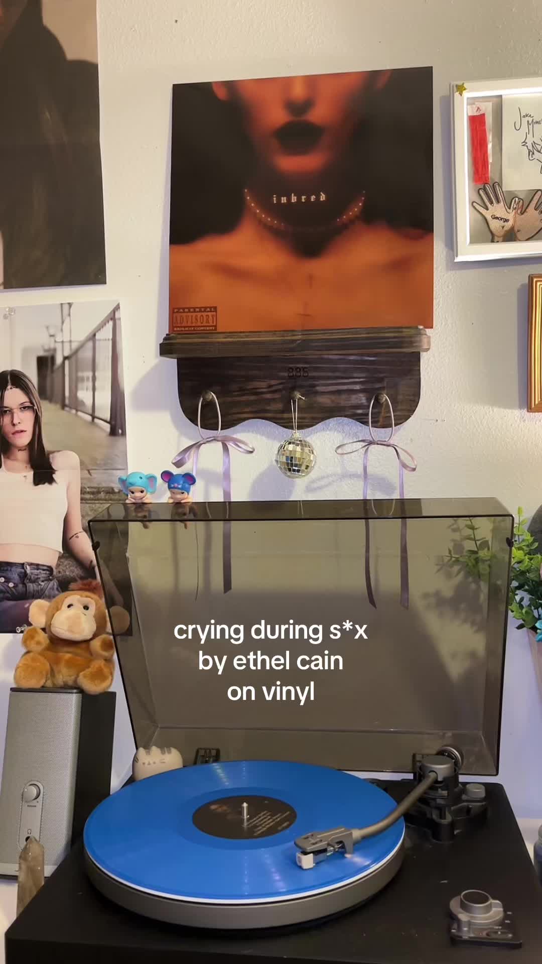 @madison ౨ৎ
