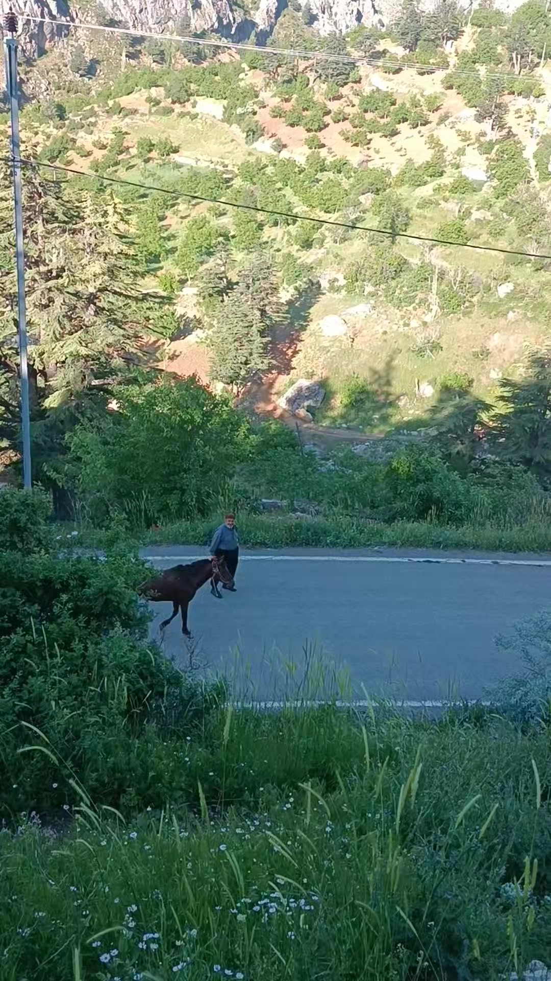 @DAĞCI.46