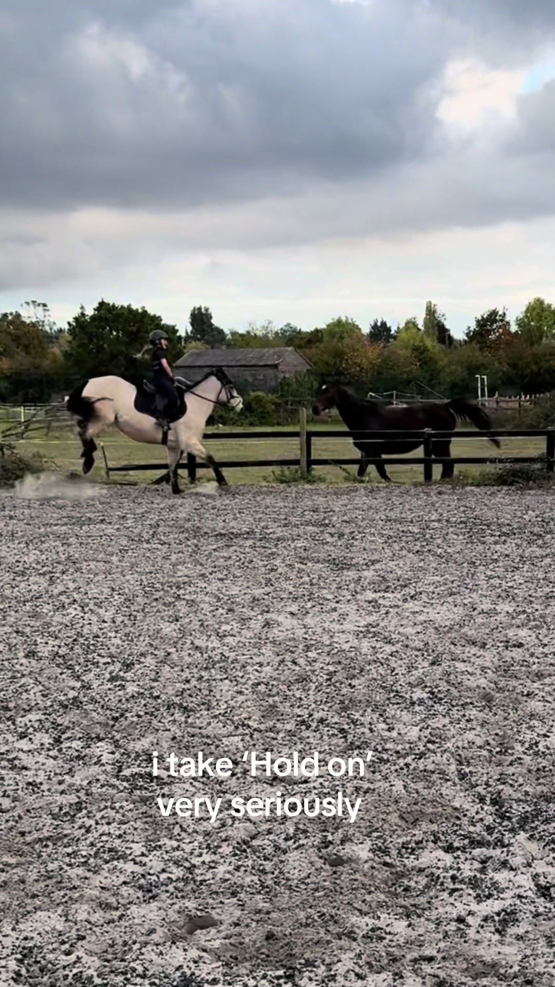 @Bronte&Alfie🍳🤎🐴