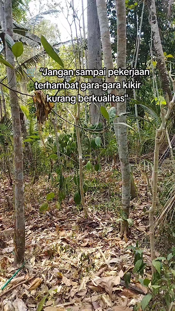 @WL