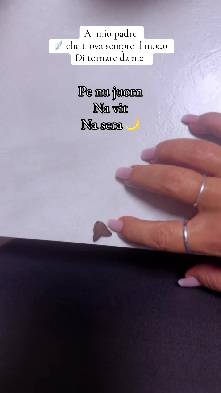 @🌙 ⛓🔥αѕѕуєттα🔥⛓⭐️