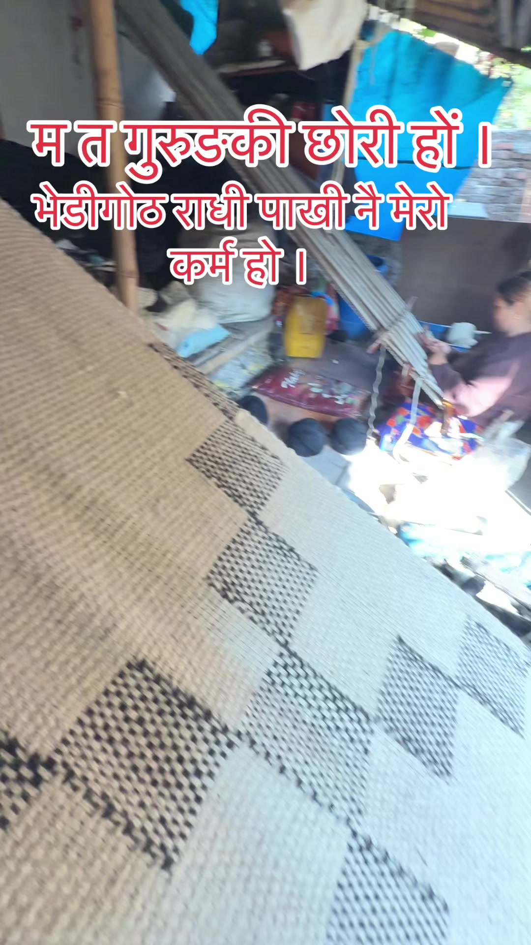 @Radi Pakhi (राडी पाखी )