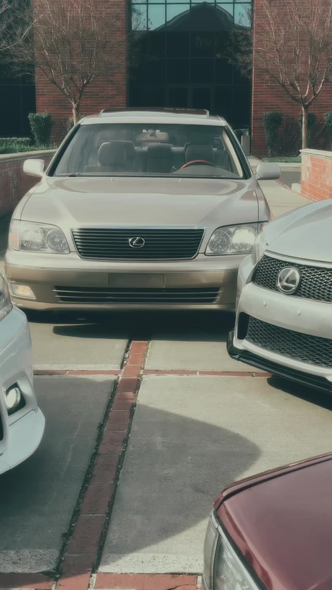 @L A W D Z A Y