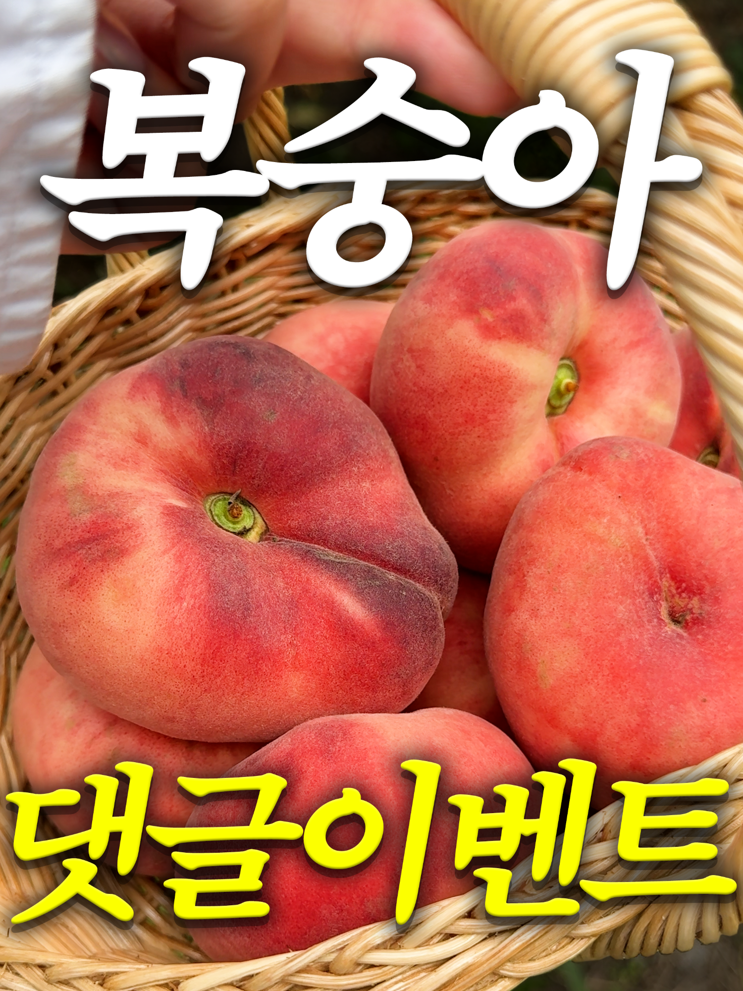 @해운대송사장