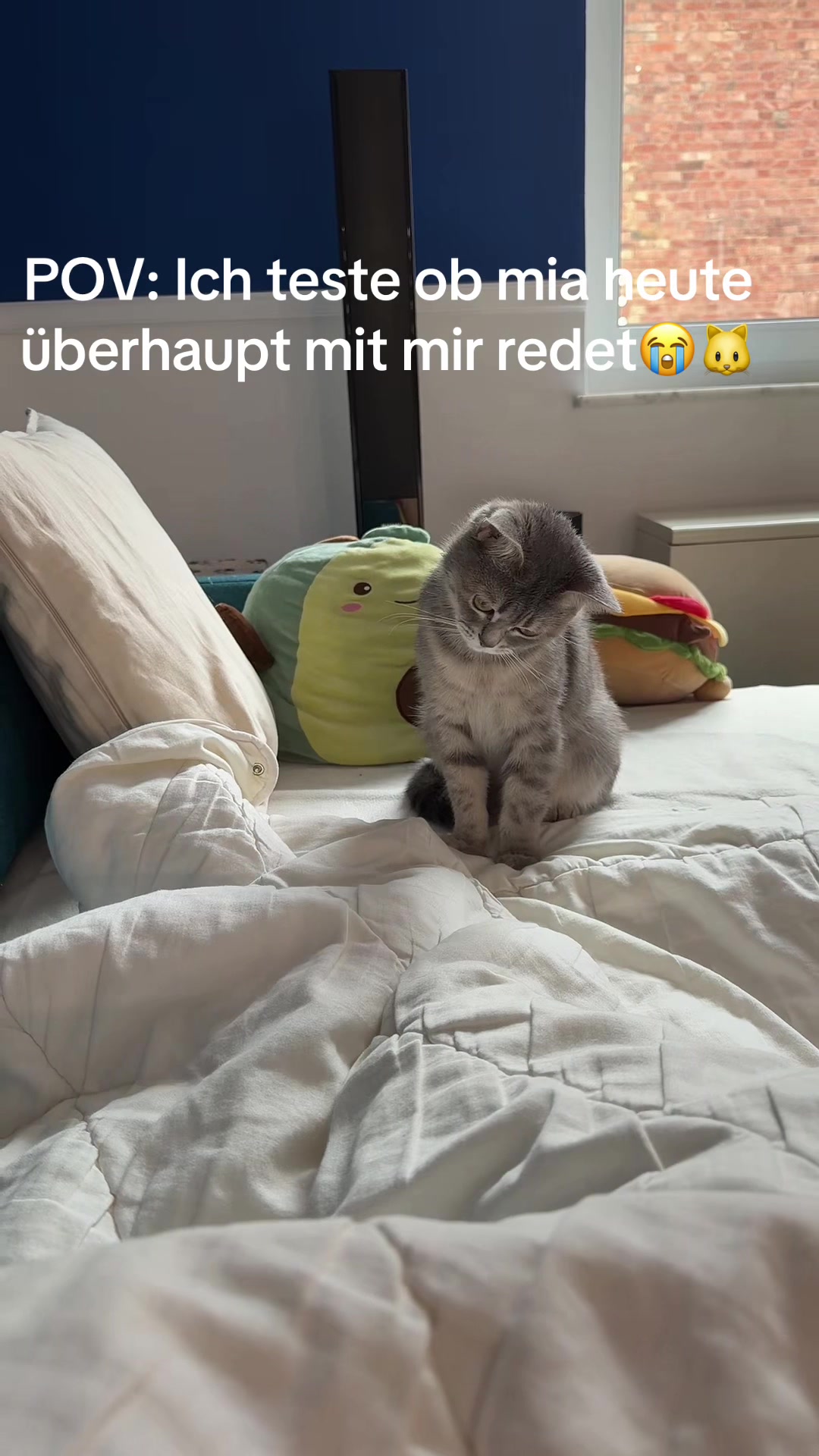 @miabalou.daily