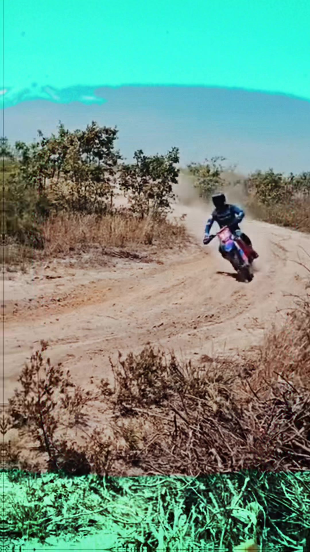 @phasemoto